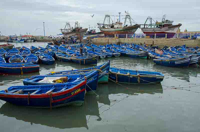 291 - Marruecos - Essaouira - puerto pesquero